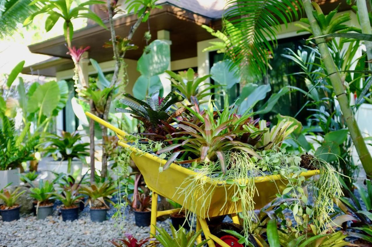The Nature House Aonang Krabi Thailand Ao Nang Luaran gambar