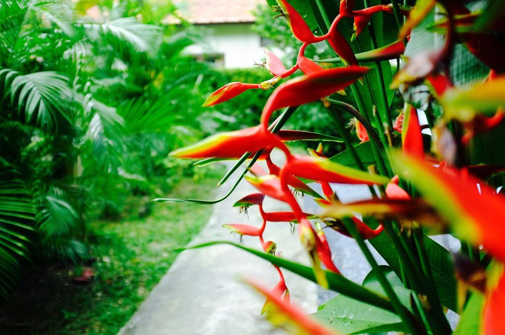 The Nature House Aonang Krabi Thailand Ao Nang Luaran gambar